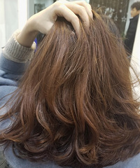 2018һҪ·ͣȻľҲǿ̳