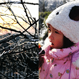 去仙女山吃“冰棍”
