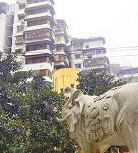 重庆又现wanghong建筑,24楼没电梯