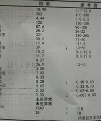 C��Ӧ���׸ߣ���ϸ�������ǲ���һ����ϸ��