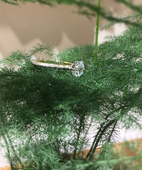 ����צ��������ĵ�����ʽ������~