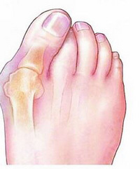 ĴⷭȻҲ򵽺ʵЬƵЬӲ·