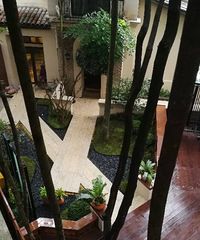 荒废了三四年的花园华丽变身,会惊艳到你吗?