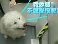 萨摩乘地铁离家出走