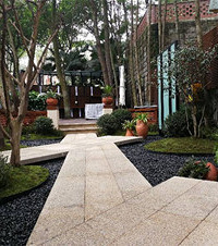 荒废了三四年的花园华丽变身,会惊艳到你吗?