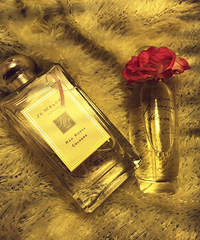 ˮɹˮ˾ŮһЩʺ϶