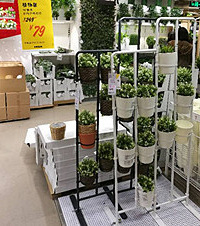 ֱ˼Ҷۣƾߡװۿ۴һѻؼ