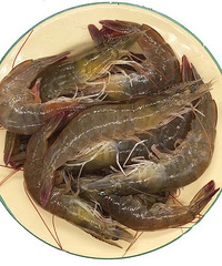 ǶЩʲô𡫿ҶƼЩʲôö