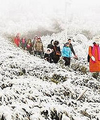 重庆大面积降雪,雪景游爆棚