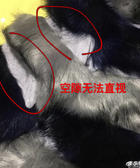 在网红店买衣服又被坑了!这确定是同一件衣服吗?感觉是残次品!