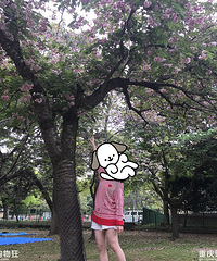 出月子恢复产前体重,悠悠顺产记【五洲妇儿医院-地球我来了】