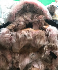 Աëɿ˴£ϴѾȻҪ580