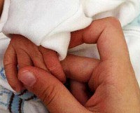 �٣���С������ӭ��������