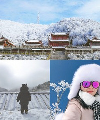 金佛山北坡耍雪更舒服