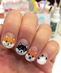 ����Ҫ��������ӵĿ������ף������вƻ������һ�