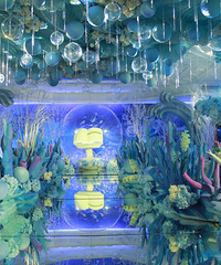 ��̽���ŷƻ����ݡ������ֳ�������Ԥ����ΰ����������