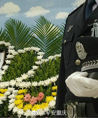被刺殉职民警追悼会,致敬,送别