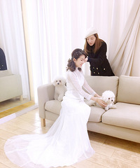 ��ױ��������8��Сʱ�������������е����ɴ�������¸߶�