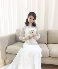 ��ױ��������8��Сʱ�������������е����ɴ�������¸߶�