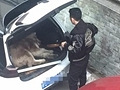 渝北疑似有人虐狗?