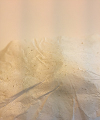 һ̩ͷһſźͷ˹ĸо̫ˬ