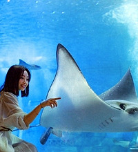 耍海洋公园,顺便拍套美照