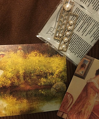 �����е�С���ã��������յ�����Щ�û������ipad�Ǻ�����