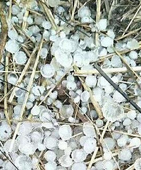 重庆这个地方三月下起了冰雹