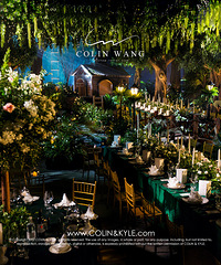 һ��������ɭ����ĳ���ɭϵ���񣬹����ķ�������30��Сʱ