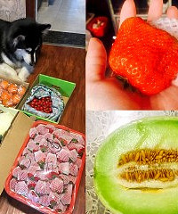 水果大采购,草莓便宜到榨汁都不心痛