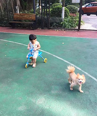 有这3个宝贝陪伴着我,我的人生也圆满了