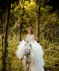 �����ֳ�����ˡ�ͬѧ�ᡱ����������ɴ�ջ���һ�º���