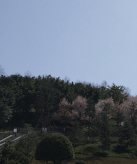 ���Ȫ�ý�������ס��ô�����뿴����ҵ������ȫ˳�������ռǡ�