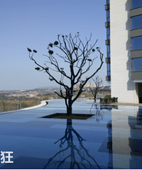 ���Ȫ�ý�������ס��ô�����뿴����ҵ������ȫ˳�������ռǡ�