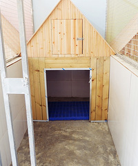 ʺĩһ˴Źȥȼٵĵط100ޣ+[μ]