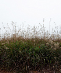 ʺĩһ˴Źȥȼٵĵط100ޣ+[μ]