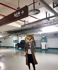 【瑞瑞妈买了什么 第12期】——平价也能穿出质感