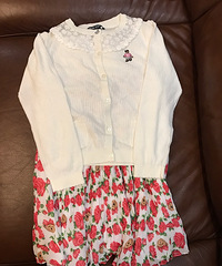 小熊捡到的趴活