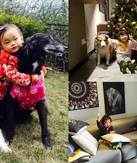 陪伴我10多年的狗狗,继续陪女儿长大