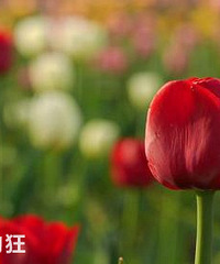 2018��3��17�ս��ò��ã��������ܣ�2018��3��17�ս�����