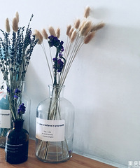 �������Լ��ģ������Ļ�ƿ�͸ɻ�������