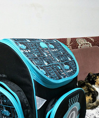 3.8ڸķʹС˰Ǯˣܴһ