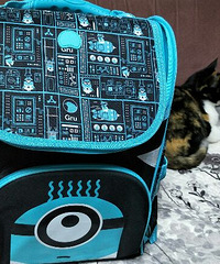 3.8ڸķʹС˰Ǯˣܴһ