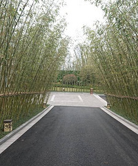 ���.���.����ɽ��������֮��ı������˾�