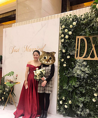 һ�����еĶ�����ʽɴ�ô������ƺ�ɫ���Ʒ�����һ�º���