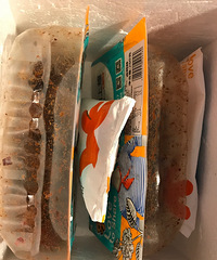 ţҵǲһ19.9ĻϻѼ˳᡾