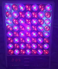 ��Ҳ�������˴��ŵ�����������ƽ�������һ����