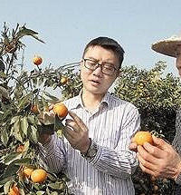 放弃15万年薪,他回大山当村官