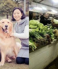 家有明星狗,会买菜会带娃还会卖萌