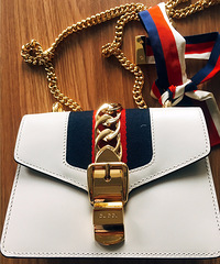 ֲGucci Sylvie 糿յģȷʵÿ